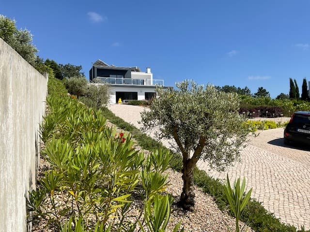 Front facade with olive trees